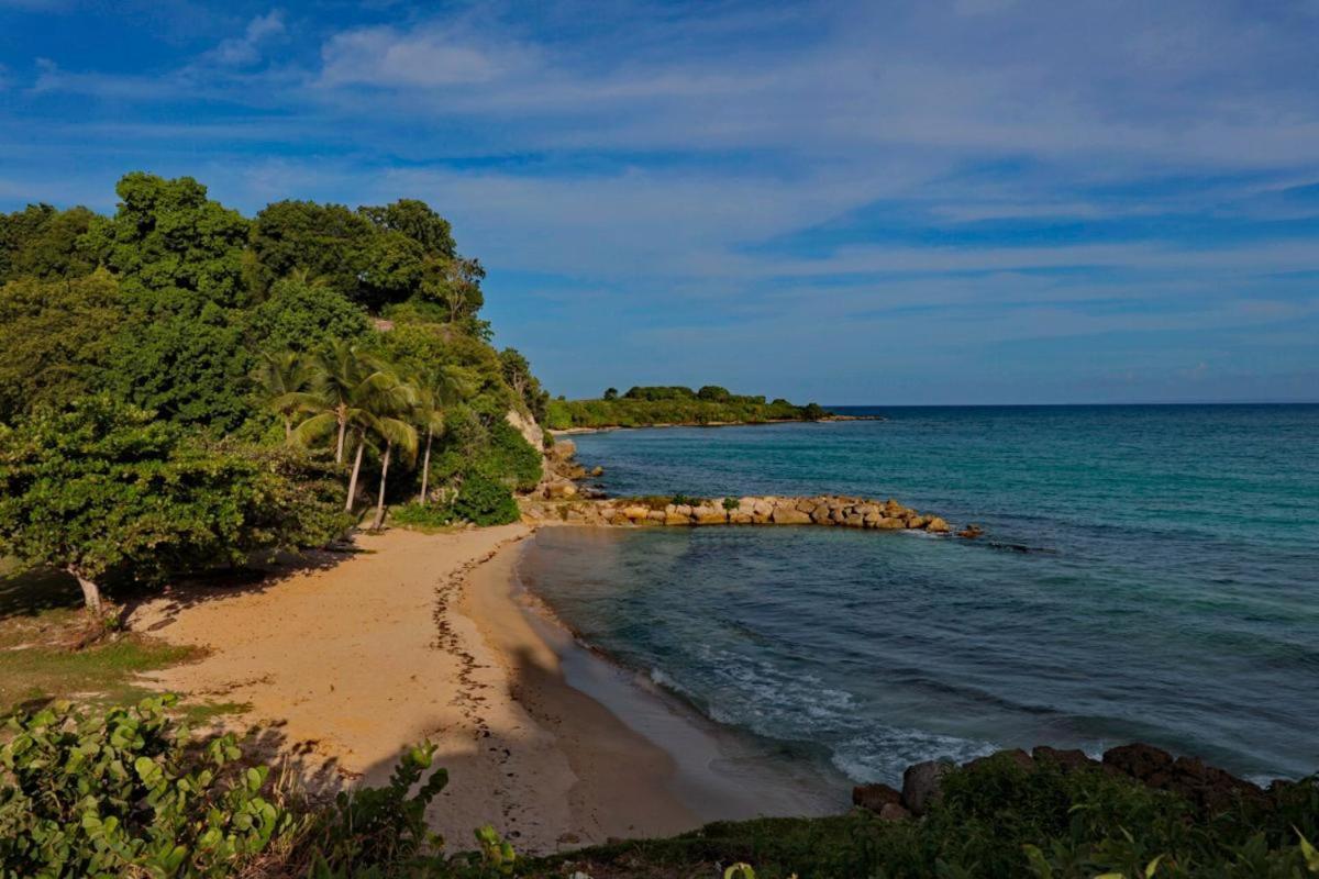 La Canopée T3 Au Gosier Appartement Le Gosier (Grande-Terre)